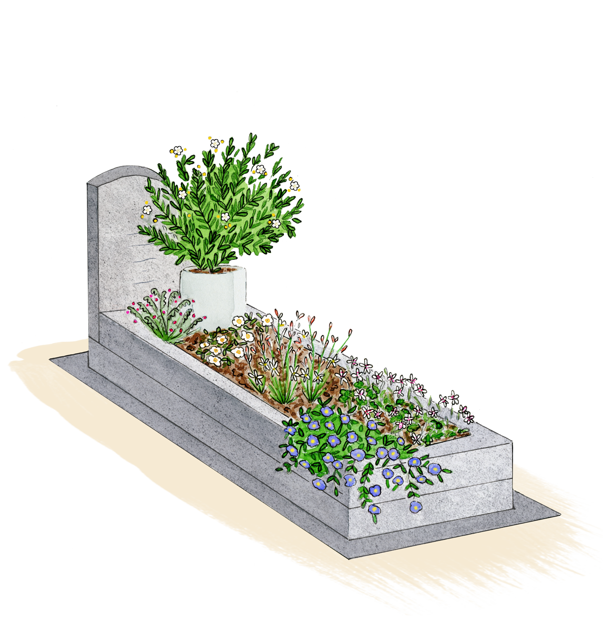 entretien de tombe dans l'Hérault