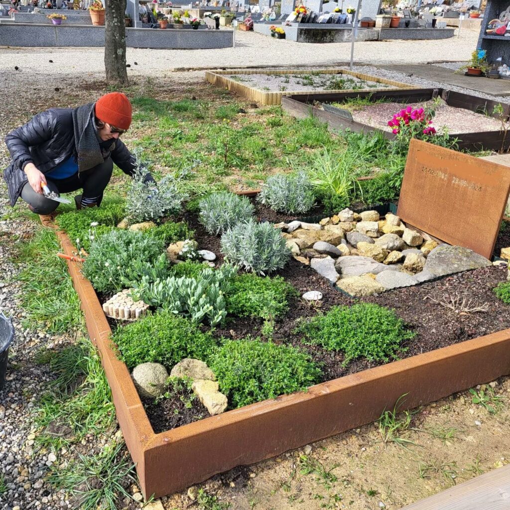 entretien de sépulture végétalisée