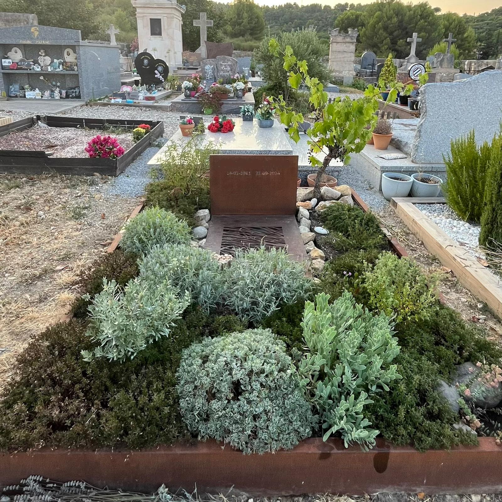 tombe végétalisée Clermont l'Hérault