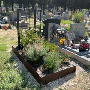 tombe végétalisée Montpellier