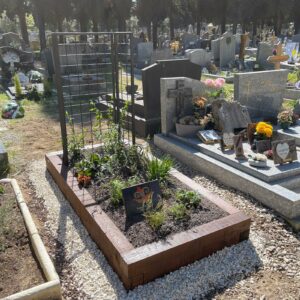 Jour 1 d'une tombe végétalisée