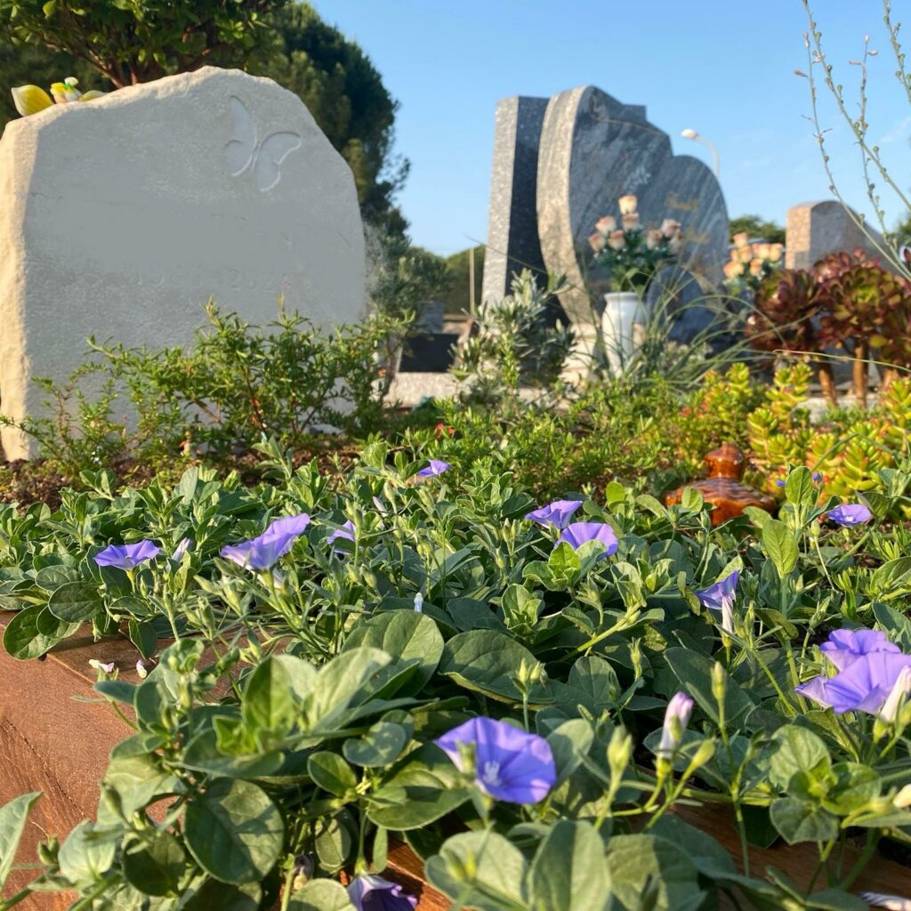 tombe avec des végétaux résistants à la sécheresse